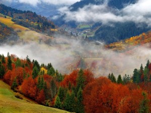 Осінні-сімейні-канікули-в-Карпатах