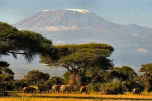 110102344_large_kenia11